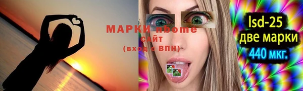 дурь Инта