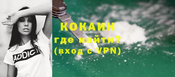 дурь Инта