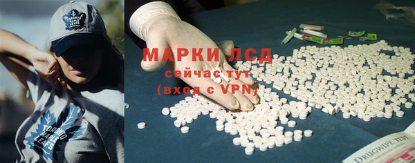 дурь Инта