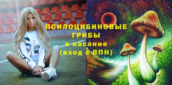 не бодяженный Инсар