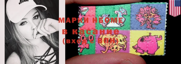 дурь Инта