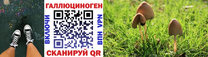 Галлюциногенные грибы мицелий  Купить  Сасово 